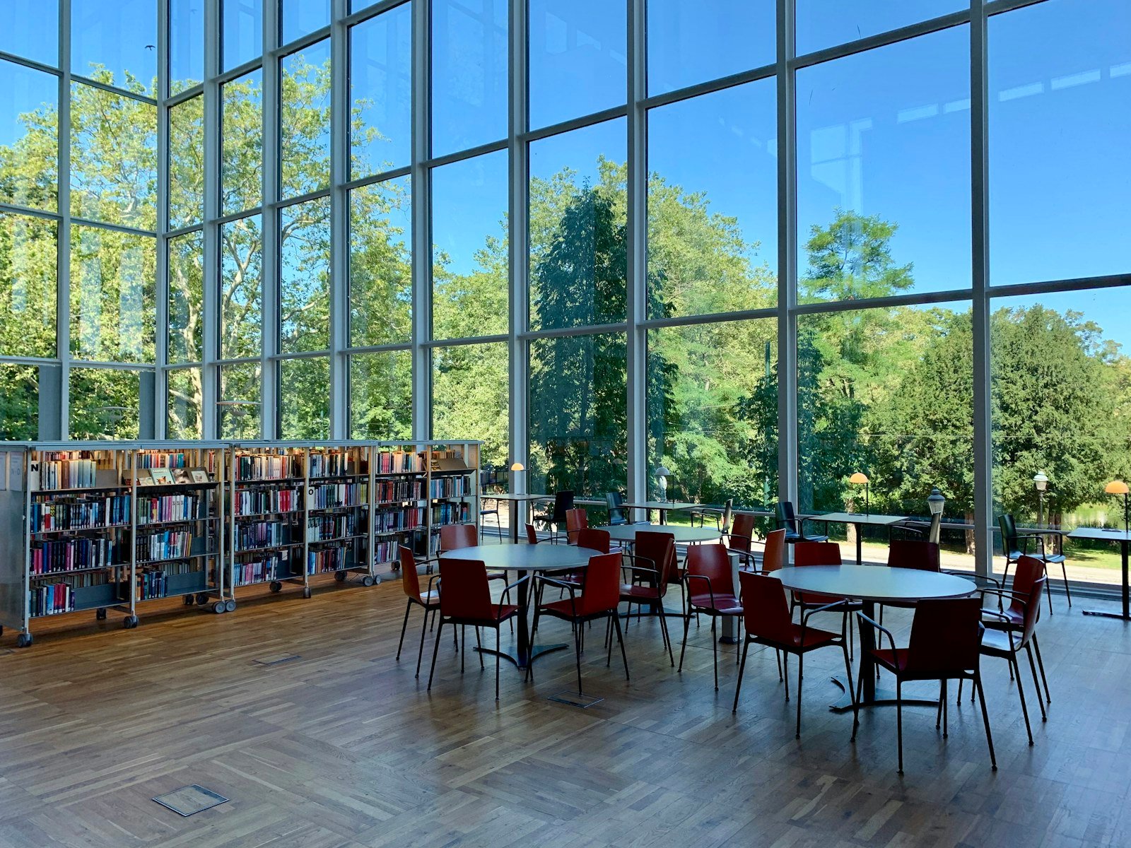 Modern international university learning space